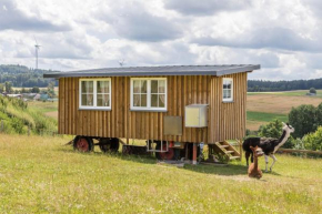 Tinyhouse Alpakawiese
